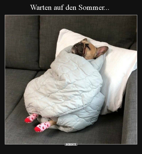 Warten auf den Sommer... - Lustige Bilder | DEBESTE.de