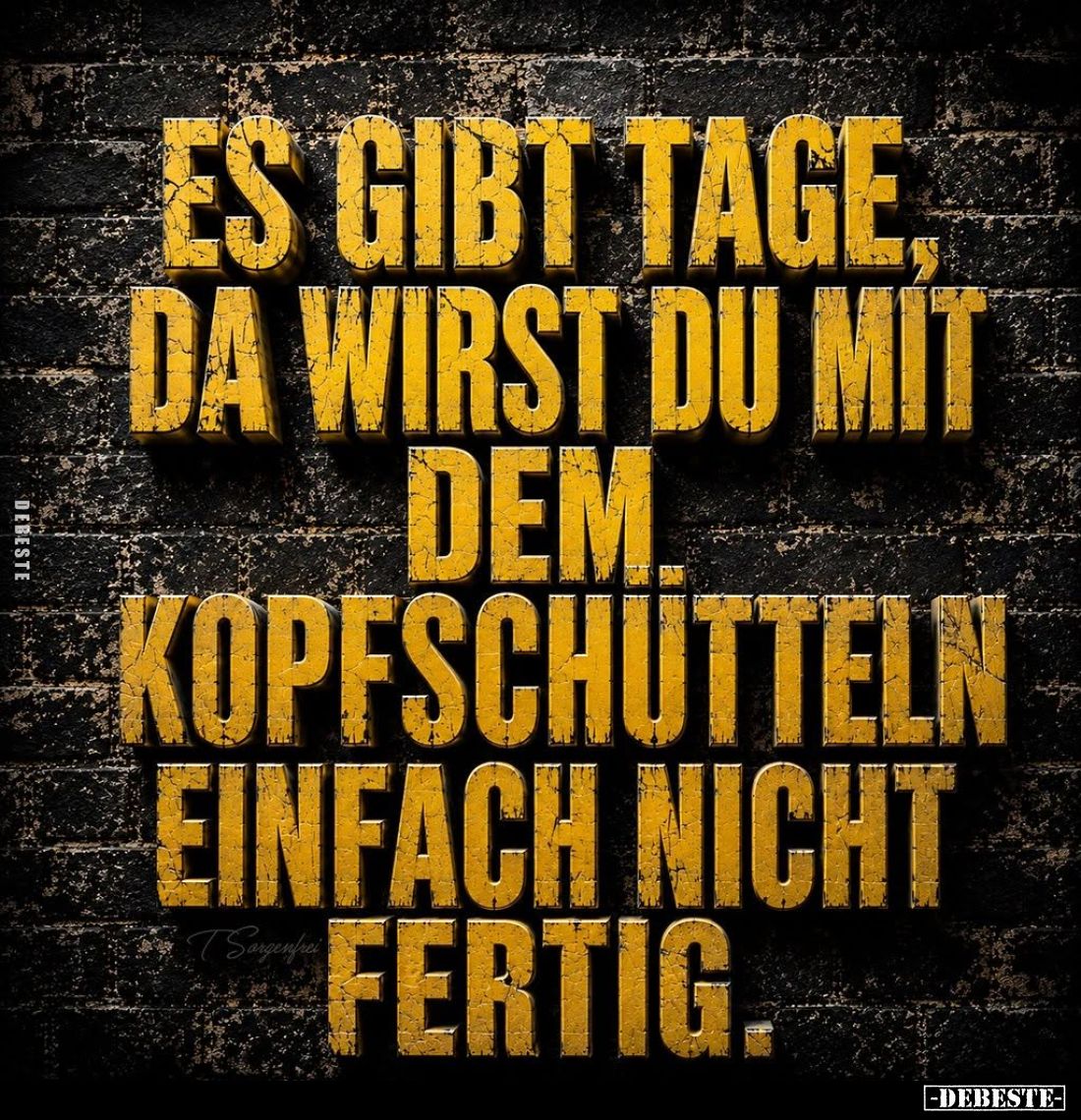 Es gibt Tage, da wirst du mit dem Kopfschütteln einfach nicht fertig.