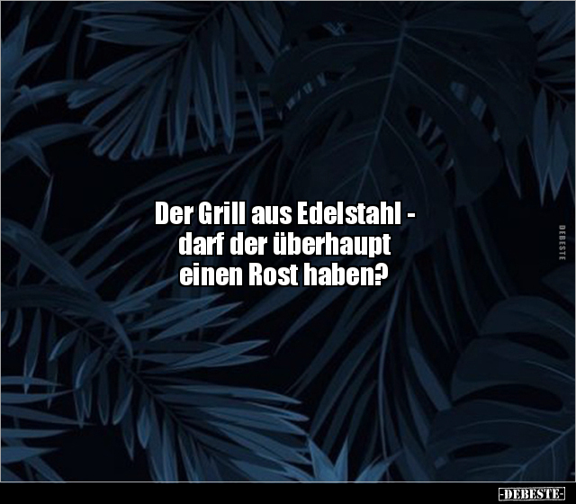 Der Grill aus Edelstahl - darf der überhaupt einen Rost.. - Lustige Bilder | DEBESTE.de
