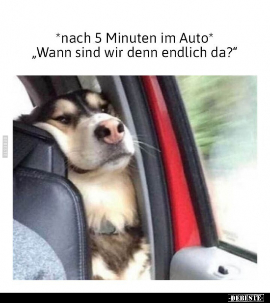 *nach 5 Minuten im Auto* "Wann sind wir denn endlich.." - Lustige Bilder | DEBESTE.de