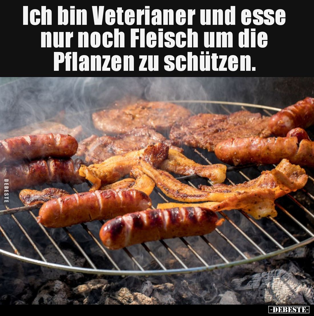 Ich bin Veterianer und esse nur noch Fleisch um die Pflanzen zu schützen.