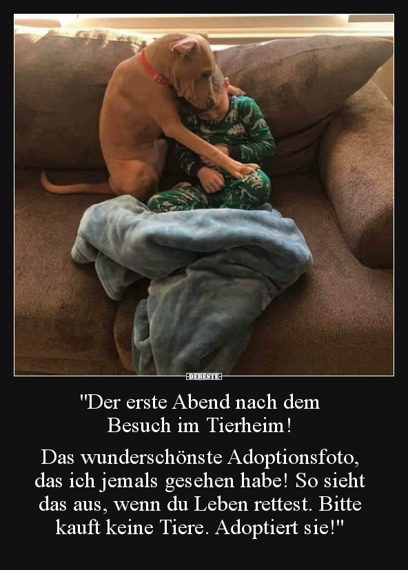 "Der erste Abend nach dem Besuch im Tierheim!..." - Lustige Bilder | DEBESTE.de