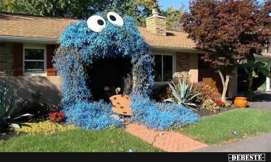 Cookie Monster - Lustige Bilder | DEBESTE.de