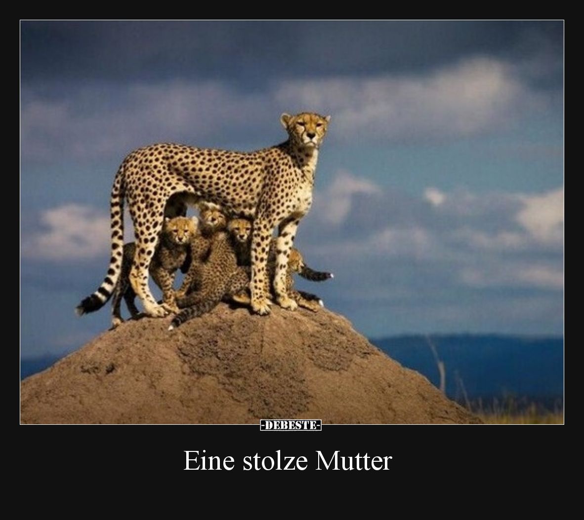 Eine stolze Mutter