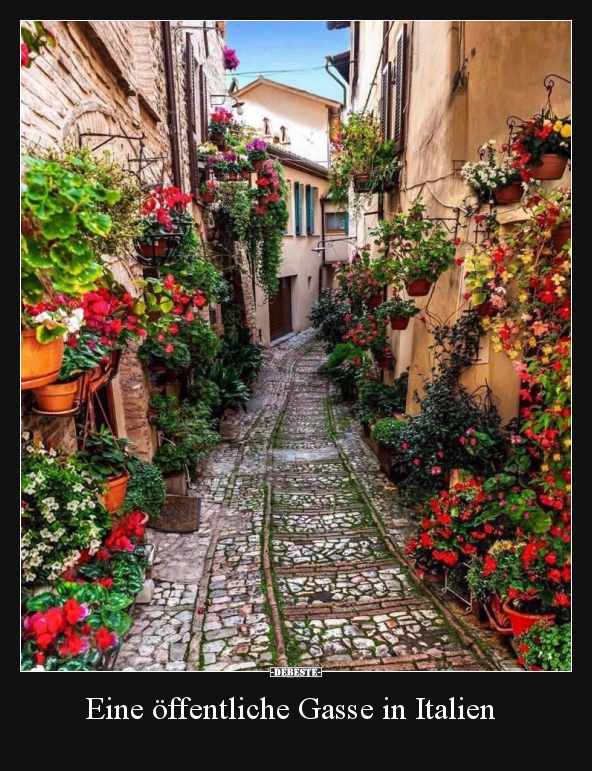 Eine öffentliche Gasse in Italien.. - Lustige Bilder | DEBESTE.de