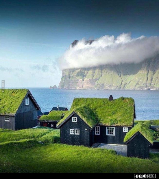  - Lustige Bilder | DEBESTE.de