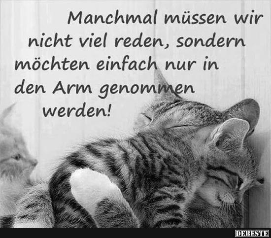 Manchmal müssen wir nicht viel reden, sondern möchten..