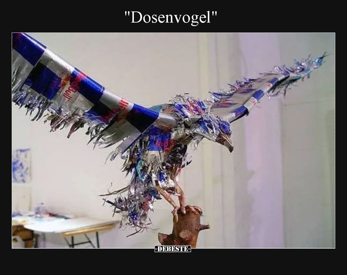 "Dosenvogel"