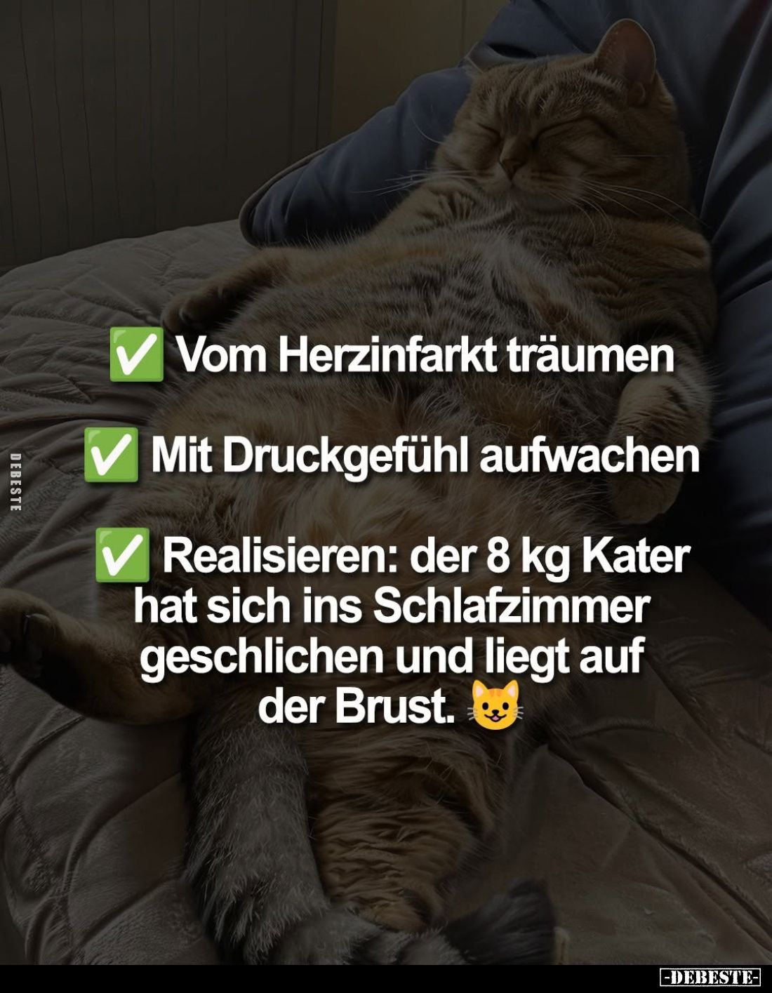 Vom Herzinfarkt träumen.
Mit Druckgefühl aufwachen.
Realisieren: der 8 kg Kater hat sich ins Schlafzimmer geschlichen und l...