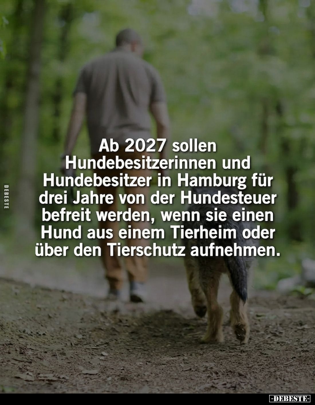Ab 2027 sollen Hundebesitzerinnen und Hundebesitzer in Hamburg für drei Jahre von der Hundesteuer befreit werden, wenn sie ei...