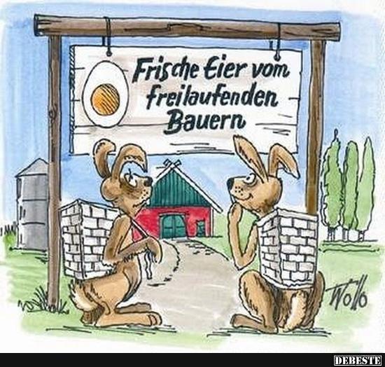 Frische Eier vom freilaufenden Bauern.. - Lustige Bilder | DEBESTE.de