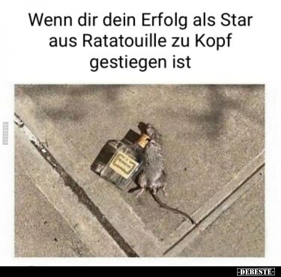Wenn dir dein Erfolg als Star aus Ratatouille zu Kopf.. - Lustige Bilder | DEBESTE.de