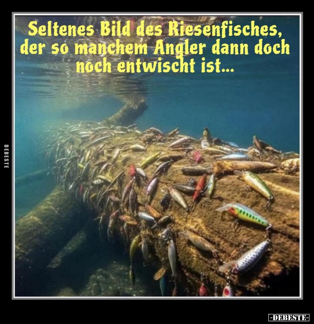 Seltenes Bild des Riesenfisches der so manchem Angler dann doch noch entwischt ist...