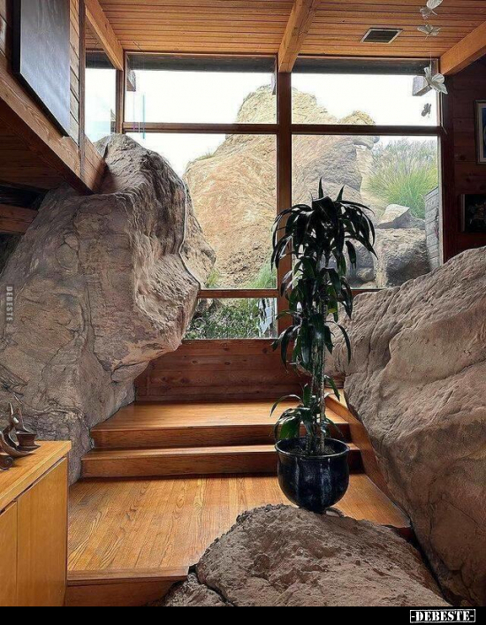  - Lustige Bilder | DEBESTE.de