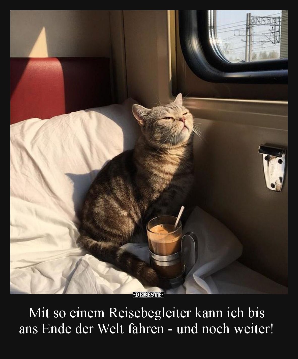 Mit so einem Reisebegleiter kann ich bis ans Ende der Welt.. - Lustige Bilder | DEBESTE.de