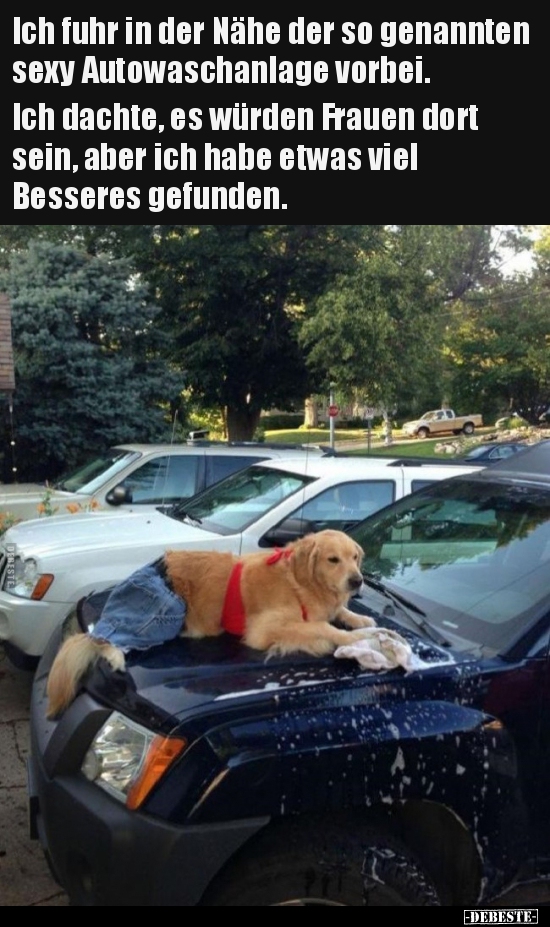 Ich fuhr in der Nähe der so genannten sexy Autowaschanlage.. - Lustige Bilder | DEBESTE.de