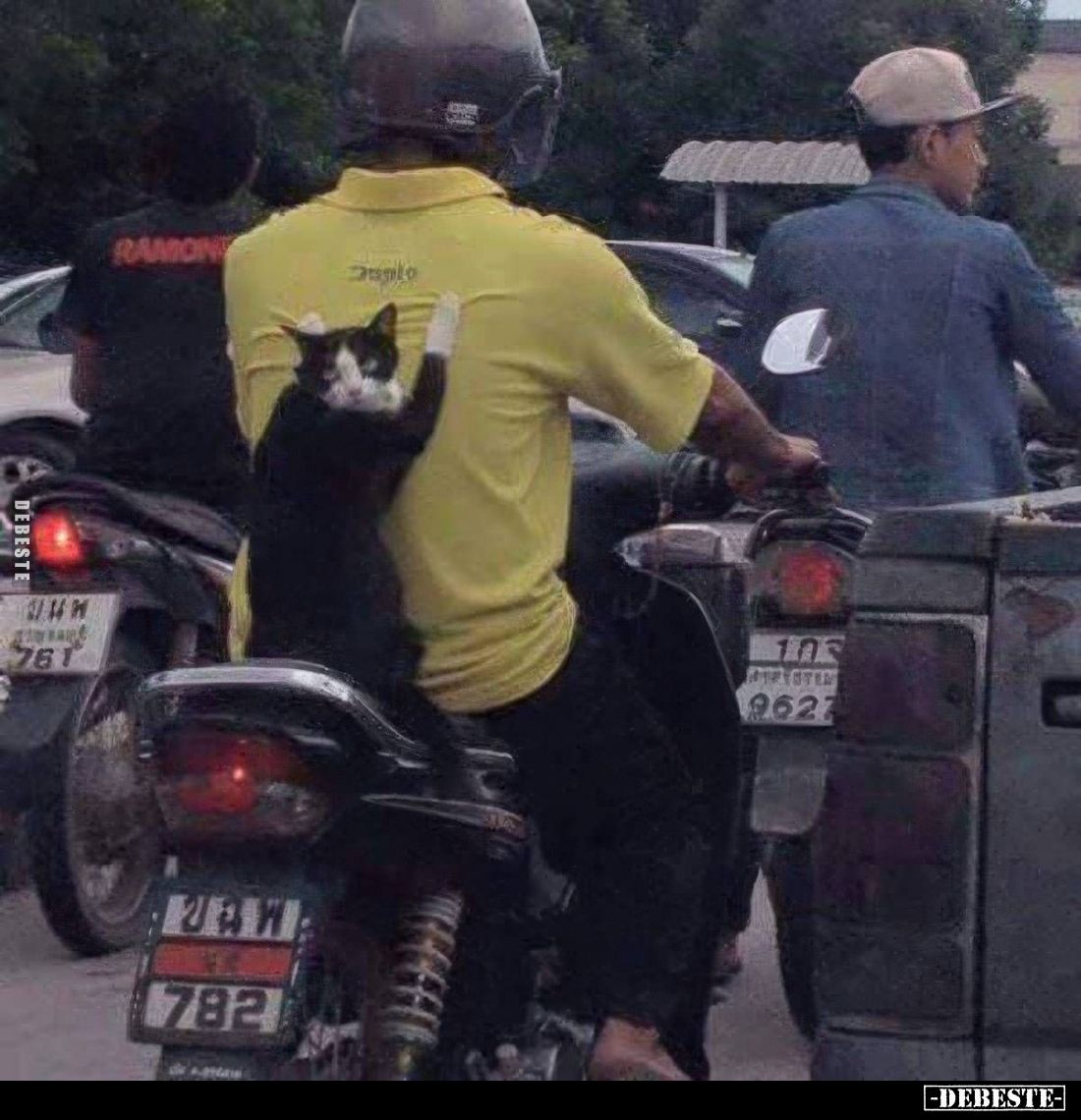  - Lustige Bilder | DEBESTE.de