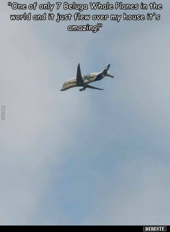"One of only 7 Beluga Whale Planes in the world and it just flew over my house it's amazing!™