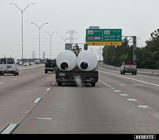  - Lustige Bilder | DEBESTE.de