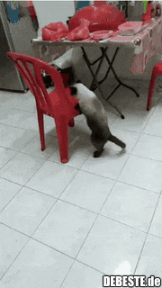 Meine heutige Motivation..