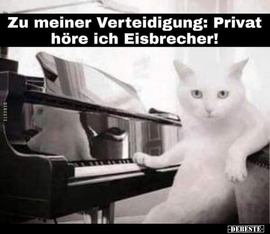 Zu meiner Verteidigung: Privat höre ich Eisbrecher!.. - Lustige Bilder | DEBESTE.de