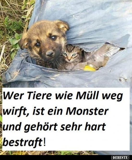 Wer Tiere wie Müll weg wirft, ist ein Monster und gehört.. - Lustige Bilder | DEBESTE.de