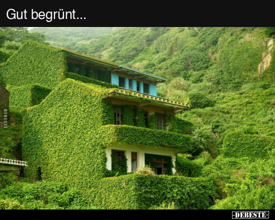 Gut begrünt...