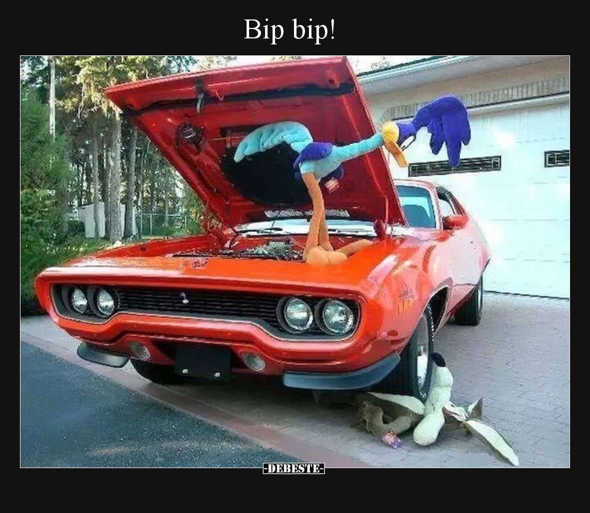 Bip bip!..