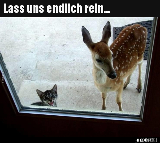 Lass uns endlich rein...