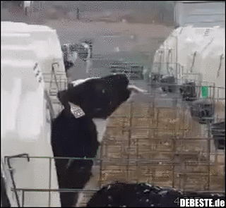 Hat jeder schon gemacht..