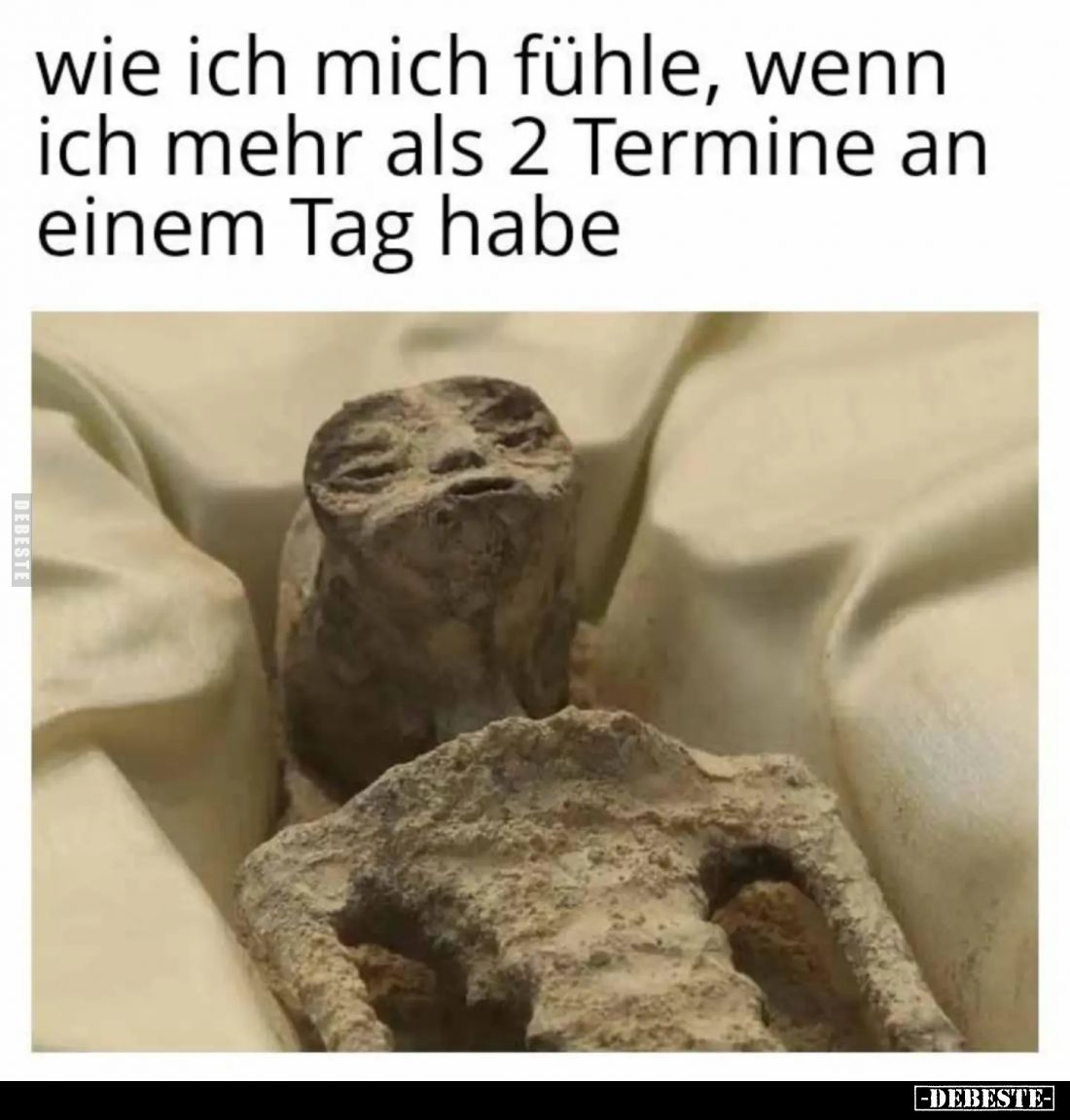 Wie ich mich fühle, wenn ich mehr als 2 Termine an einem Tag habe.