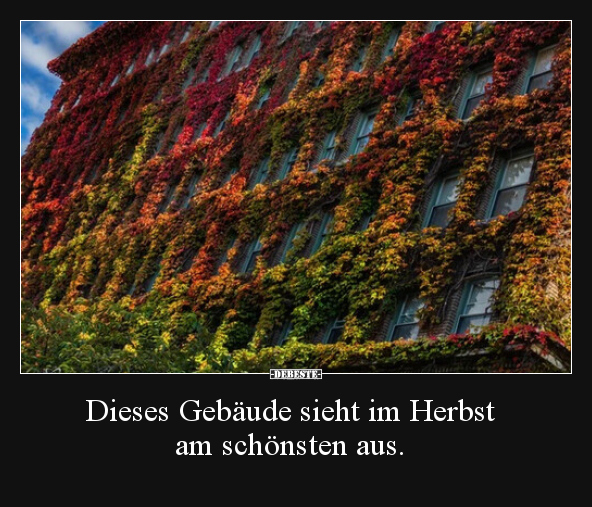 Dieses Gebäude sieht im Herbst am schönsten aus... - Lustige Bilder | DEBESTE.de