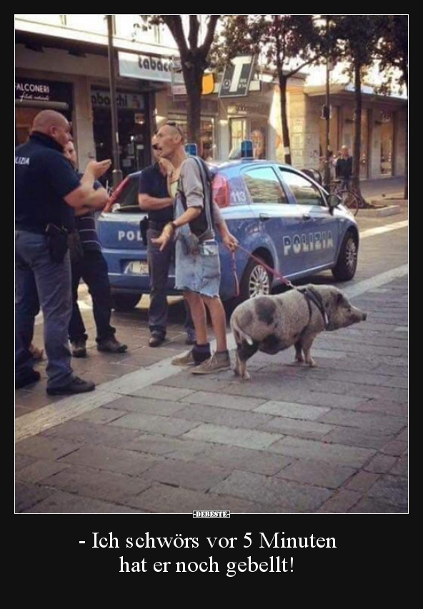 - Ich schwörs vor 5 Minuten hat er noch gebellt!..