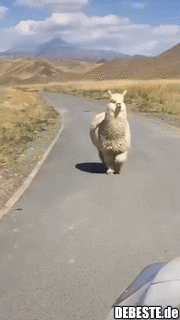 ☺ - Lustige Bilder | DEBESTE.de