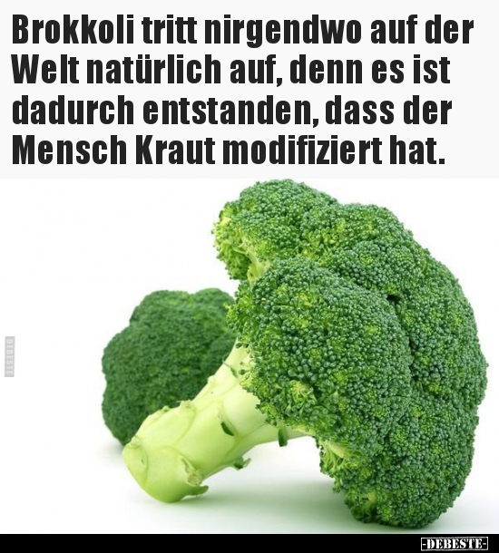Brokkoli tritt nirgendwo auf der Welt natürlich auf, denn..