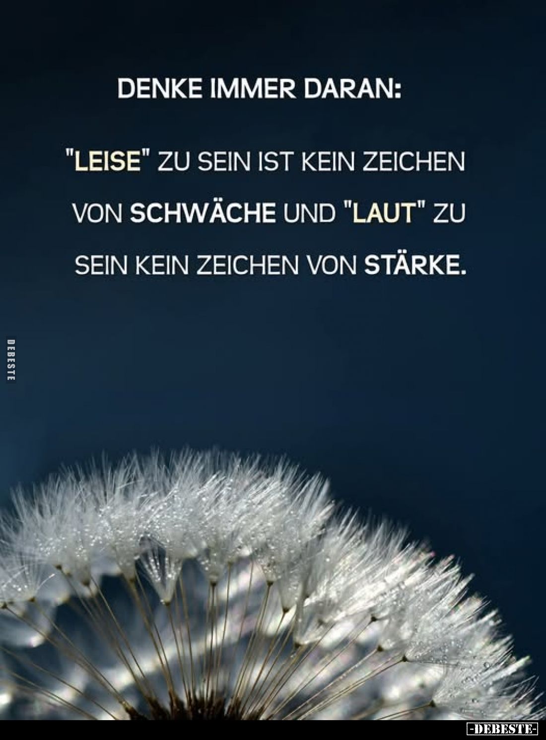 Denke immer daran:
"leise" zu sein ist kein Zeichen von Schwäche und "laut" zu sein kein Zeichen von Stä...
