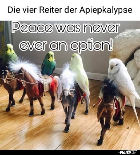 Die vier Reiter der Apiepkalypse