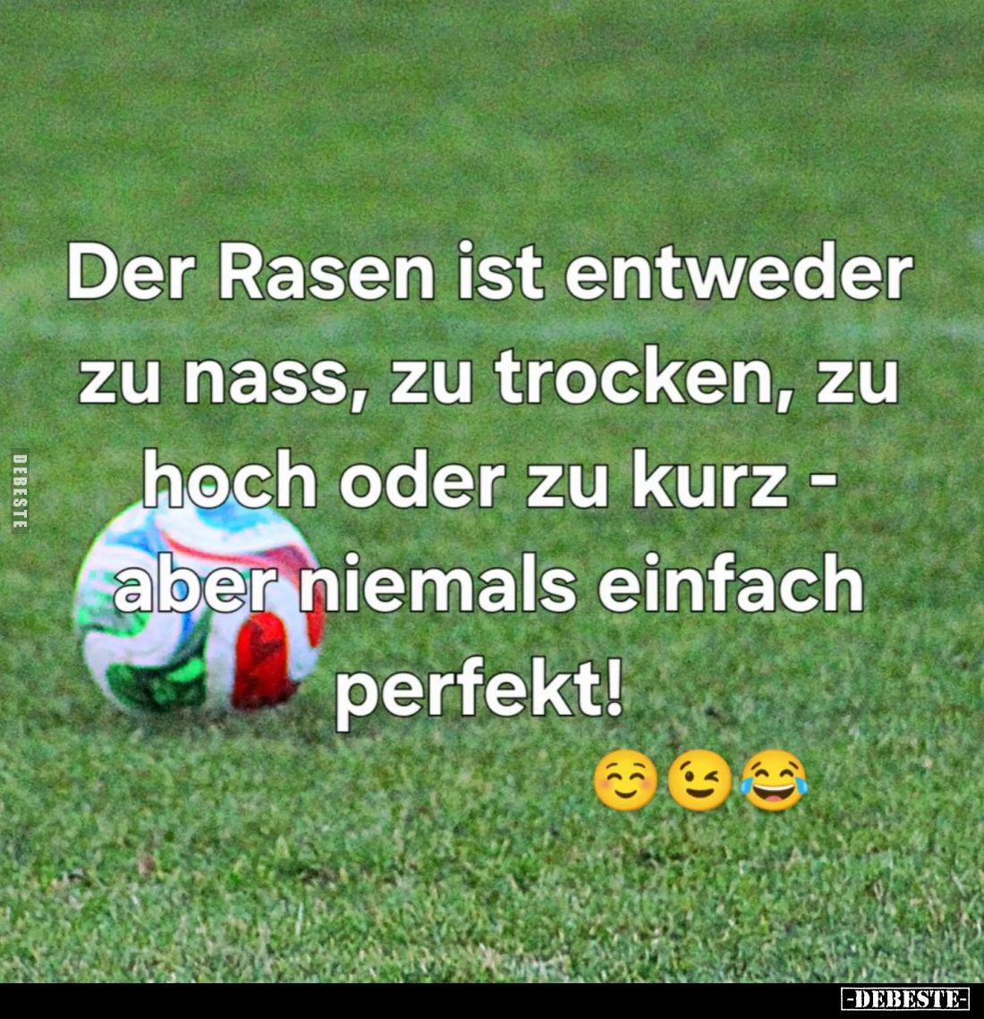 Der Rasen ist entweder zu nass, zu trocken, zu hoch oder zu kurz - aber niemals einfach perfekt!