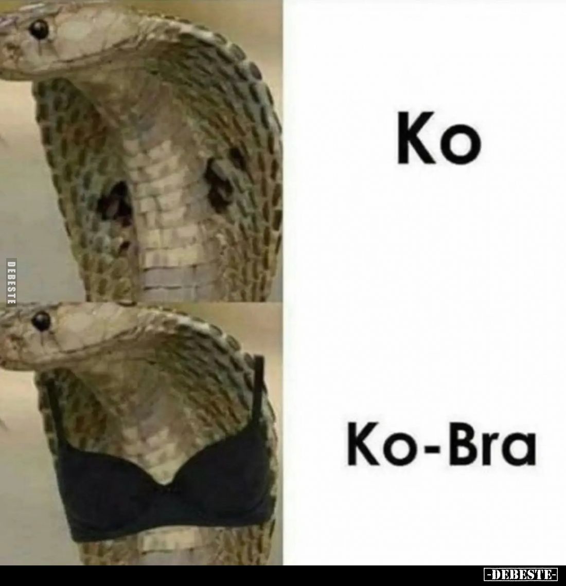 Ko vs
Ko-Bra.