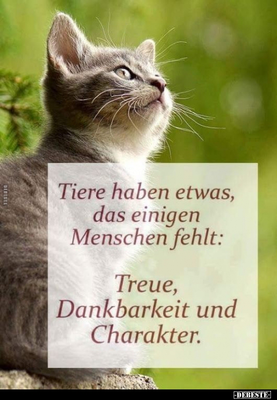 Tiere haben etwas, das einigen Menschen fehlt.. - Lustige Bilder | DEBESTE.de