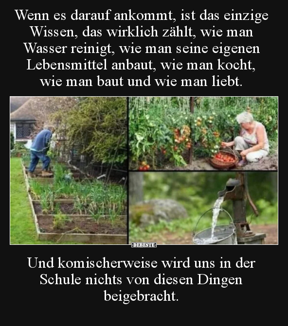 Wenn es darauf ankommt, ist das einzige Wissen, das.. - Lustige Bilder | DEBESTE.de