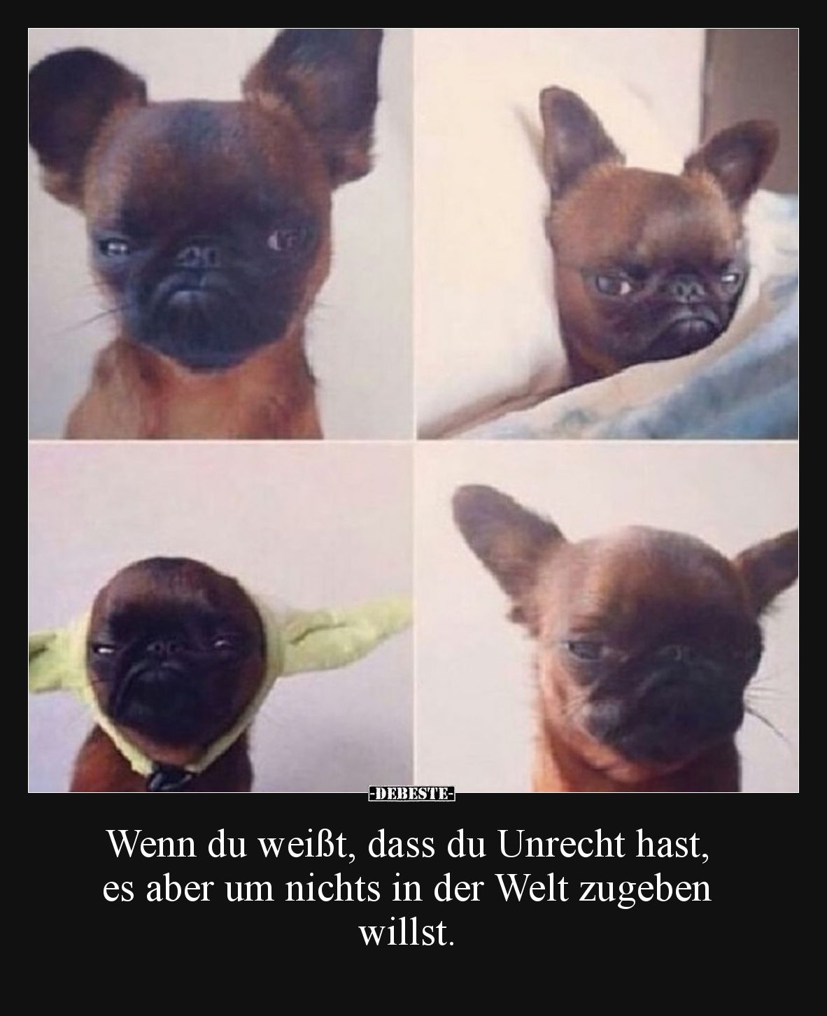 Wenn du weißt, dass du Unrecht hast, es aber um nichts in der Welt zugeben willst.