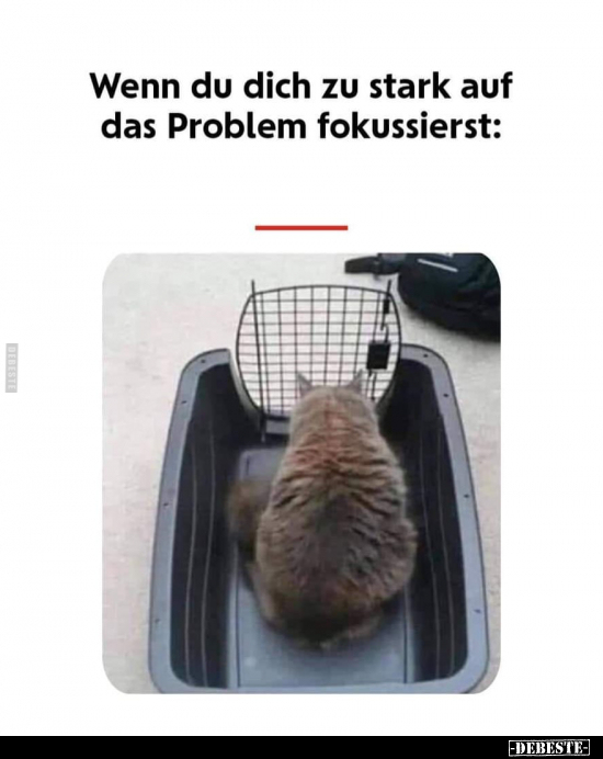 Wenn du dich zu stark auf das Problem fokussierst.. - Lustige Bilder | DEBESTE.de