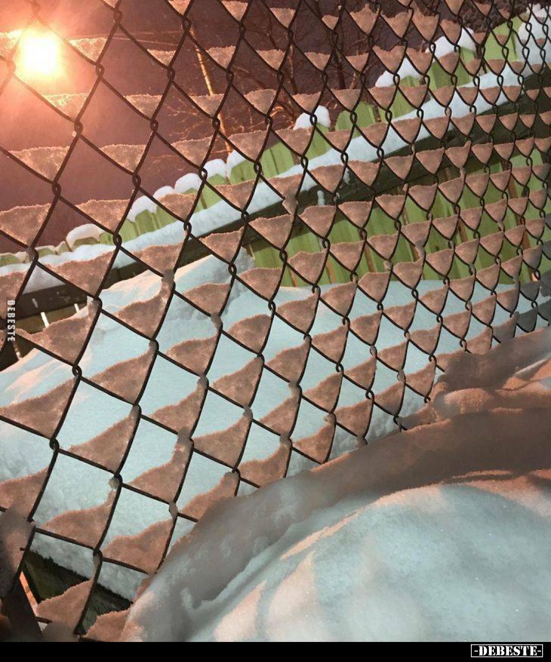 Gehirn gründet Gewerkschaft..