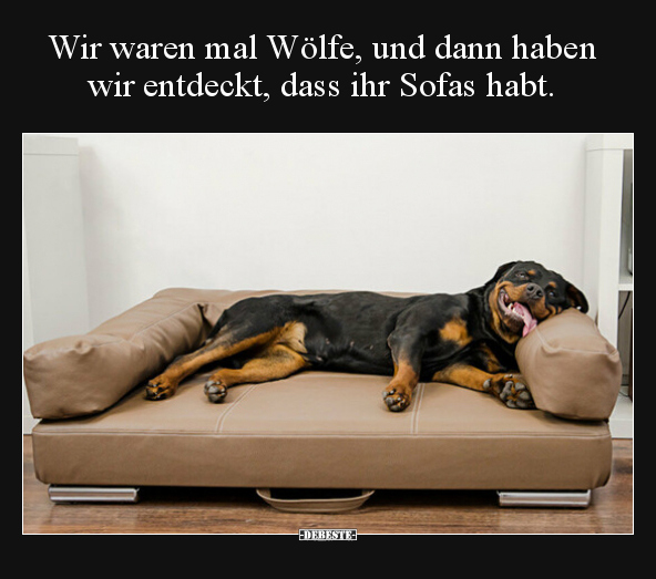 Wir waren mal Wölfe, und dann haben wir entdeckt, dass ihr.. - Lustige Bilder | DEBESTE.de
