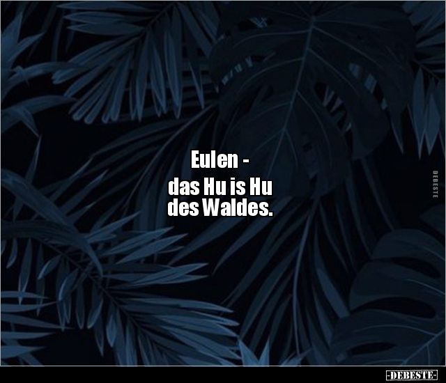 Eulen - das Hu is Hu  des Waldes... - Lustige Bilder | DEBESTE.de