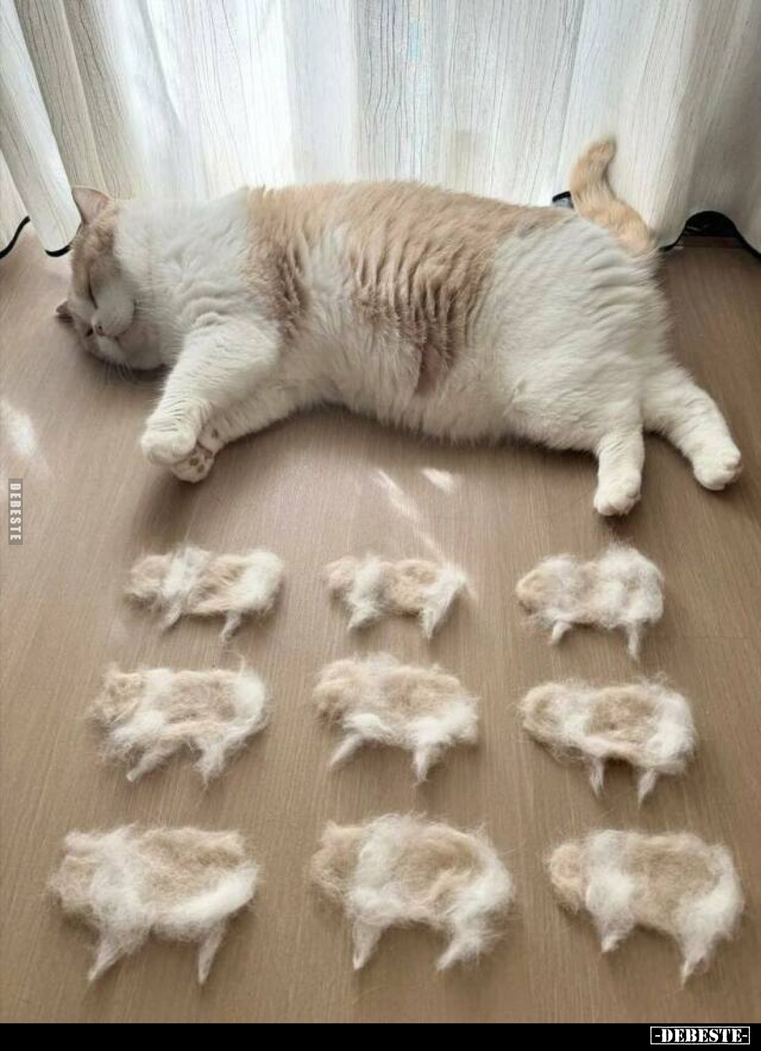  - Lustige Bilder | DEBESTE.de