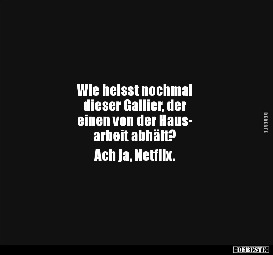 Wie heisst nochmal 
dieser Gallier, der 
einen von der Haus-
arbeit abhält? 

Ach ja, Netflix.