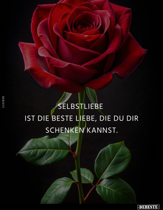 Selbstliebe ist die beste Liebe, die du dir schenken kannst.