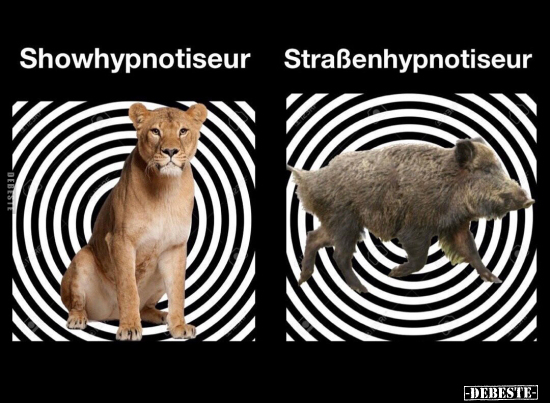 Showhypnotiseur/ Straßenhypnotiseur